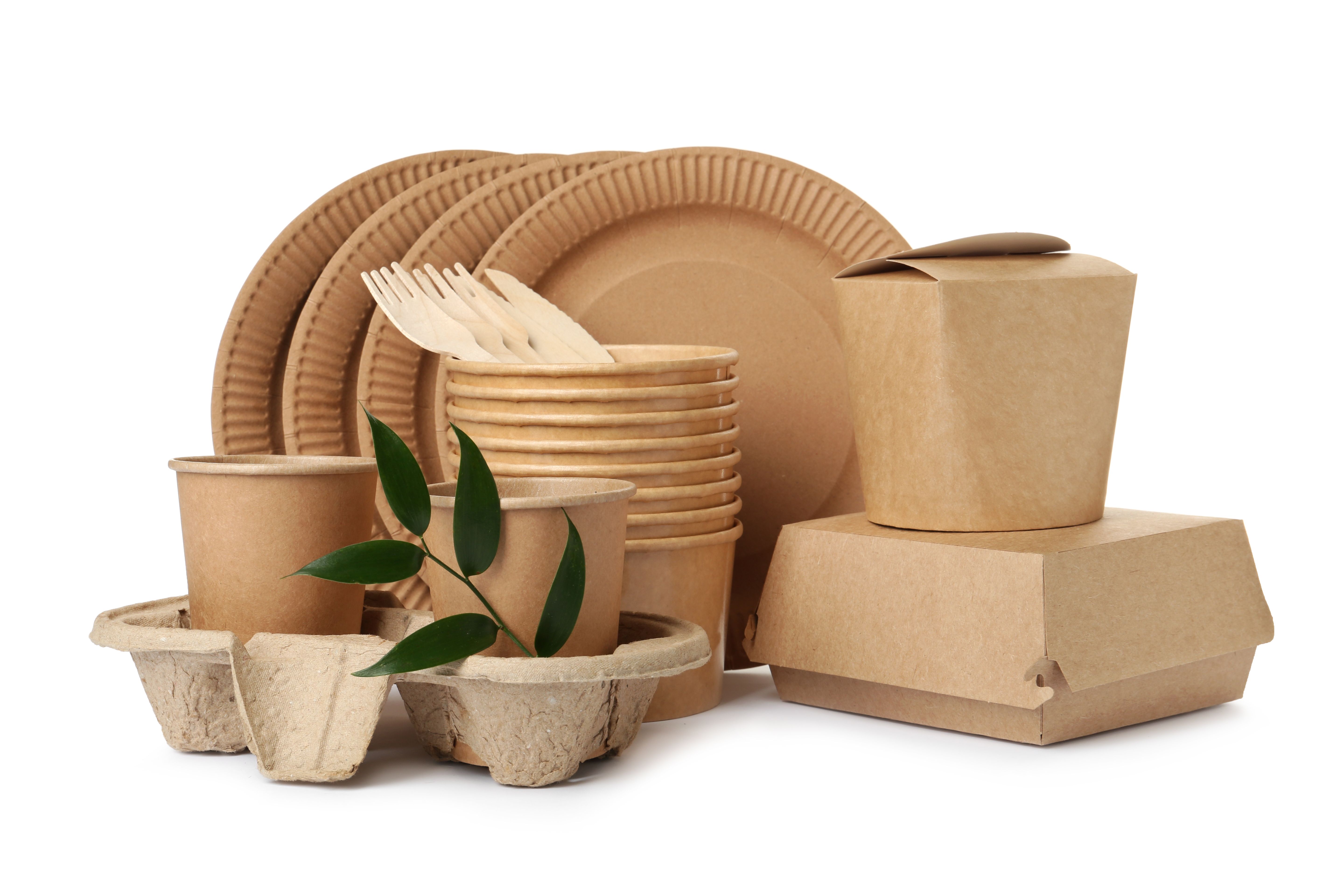 Bamboo